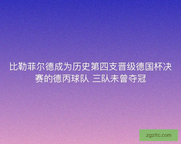 比勒菲尔德成为历史第四支晋级德国杯决赛的德丙球队 三队未曾夺冠